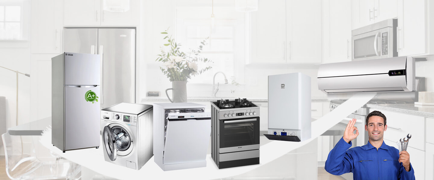 Bergama Philips Servisi